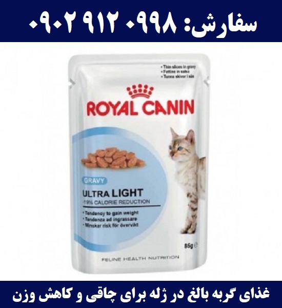غذای گربه، پوچ گربه بالغ در گوشت برای چاقی و کاهش وزن | سفارش: 09029120998